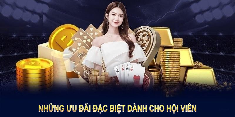 Những ưu đãi đặc biệt dành cho hội viên HB88 trong dịp Tết